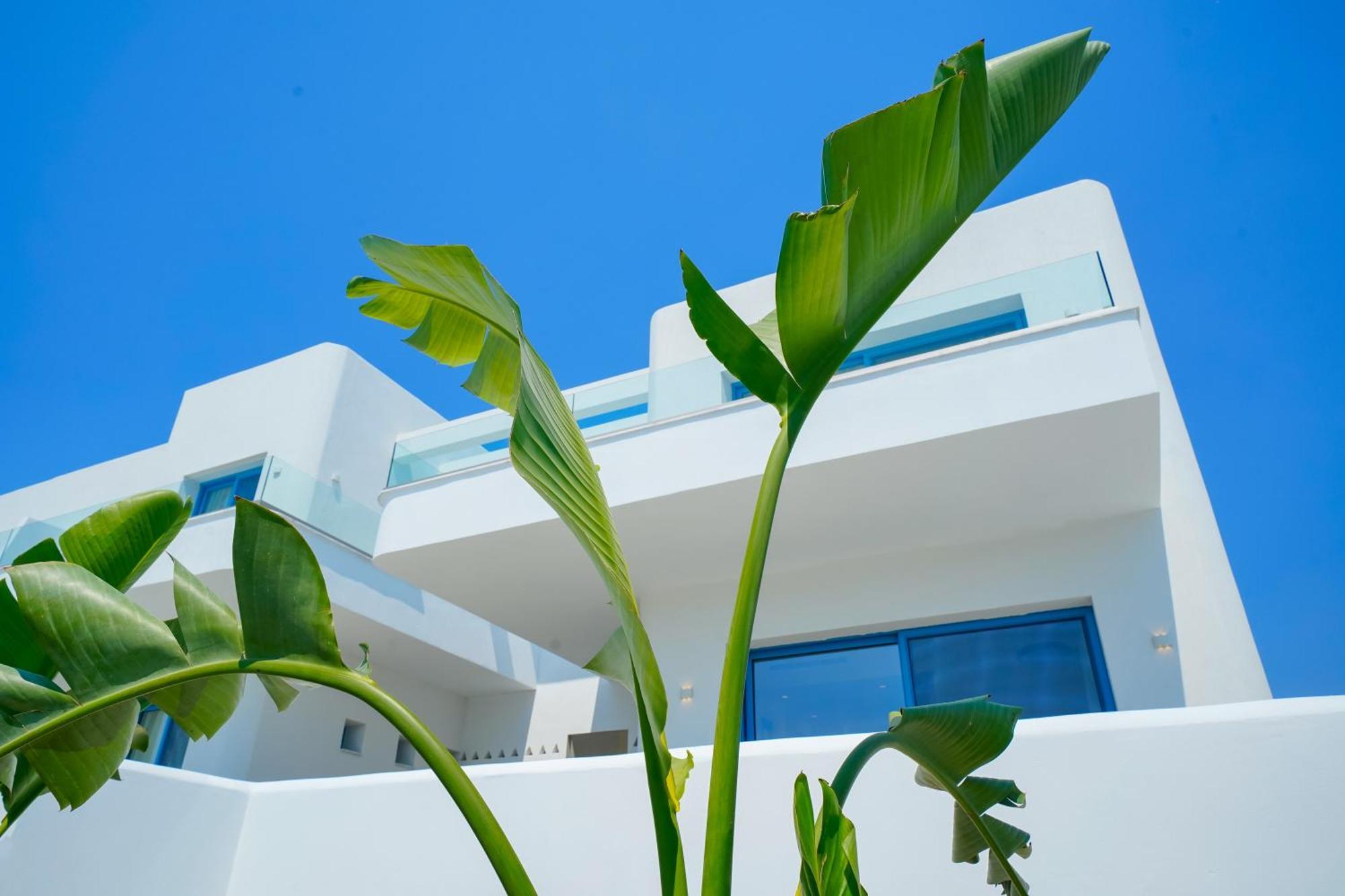 Narciso Thassos Luxury Suites Órmos Prínou エクステリア 写真